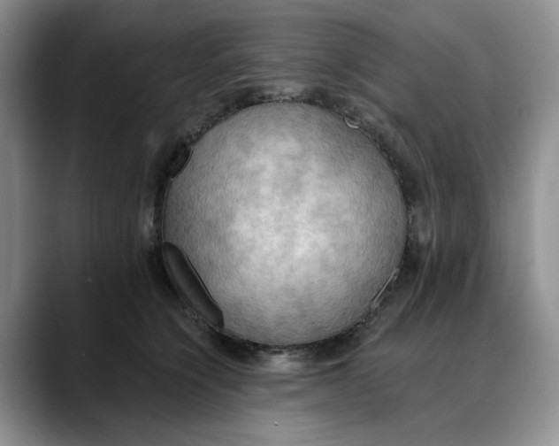 X0000088490564200706121551