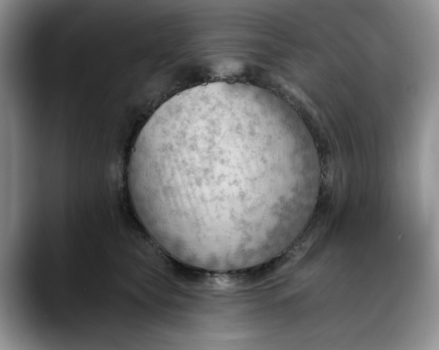 X0000088490565200706121551