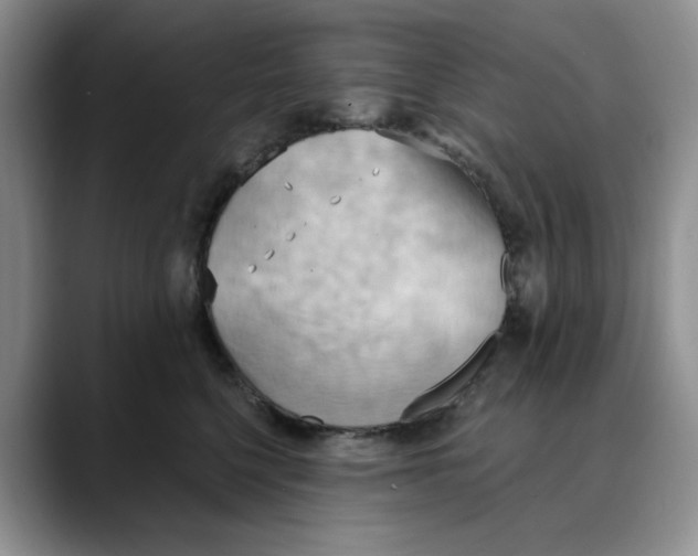 X0000088490568200706121551