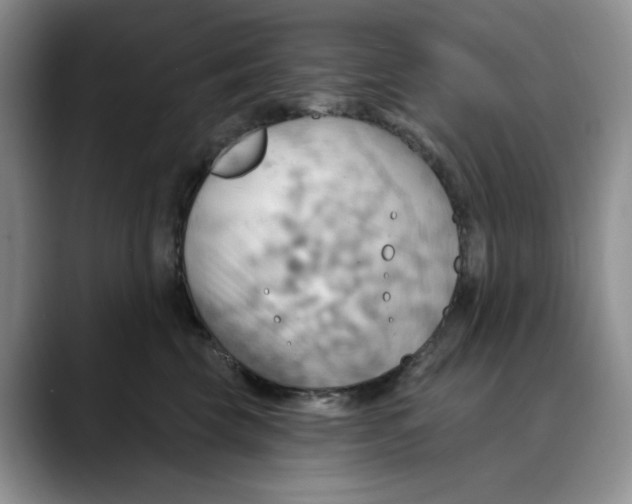 X0000088490569200706121551