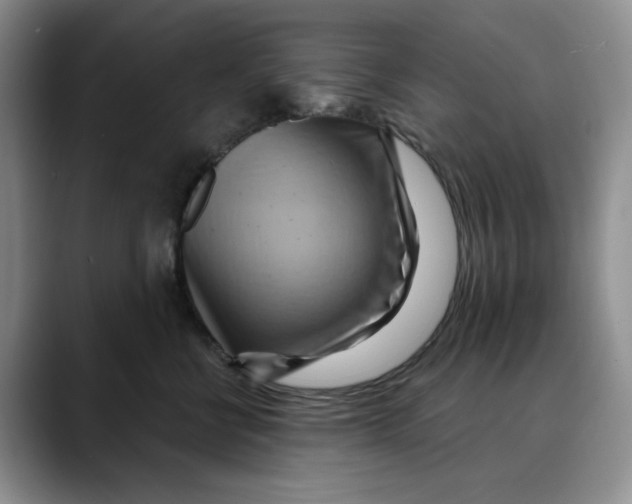 X0000088490570200706121551