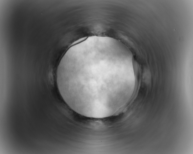 X0000088490572200706121551