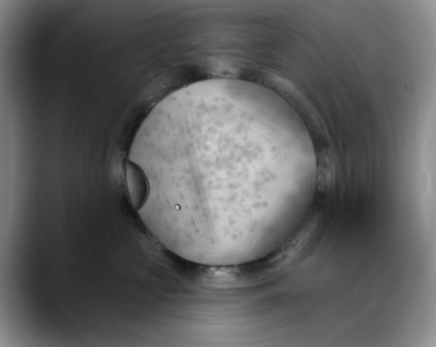 X0000088490573200706121551