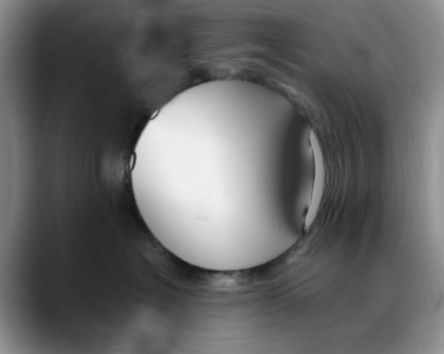 X0000088490574200706121551