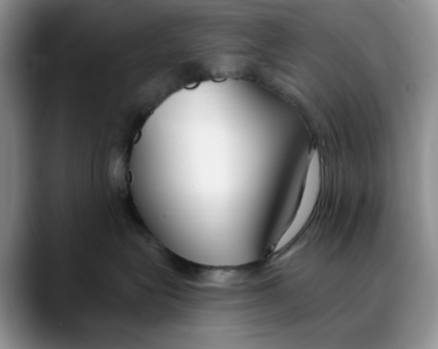 X0000088490575200706121551