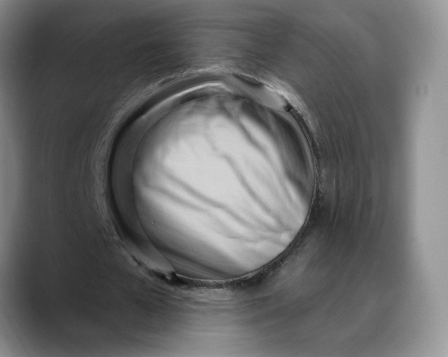 X0000088490577200706121550