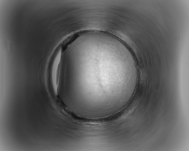 X0000088490580200706121550