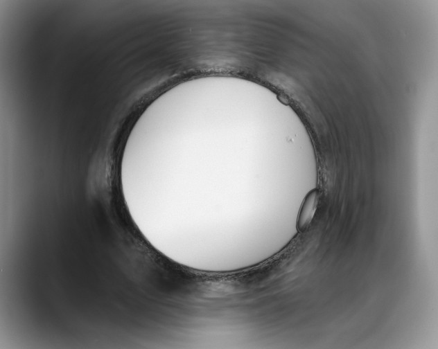 X0000088490583200706121550