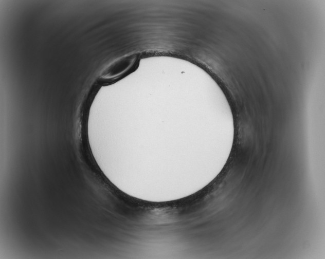 X0000088490584200706121550