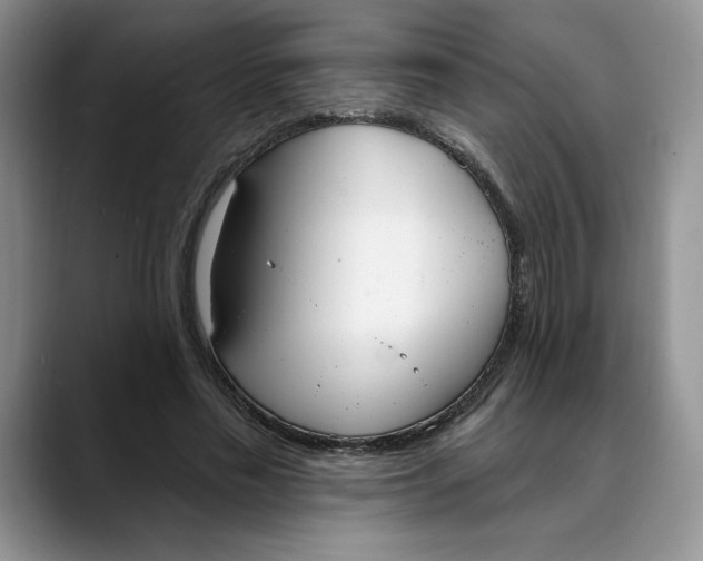X0000088490589200706121550
