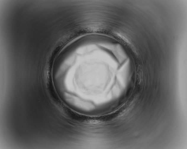 X0000088490590200706121550