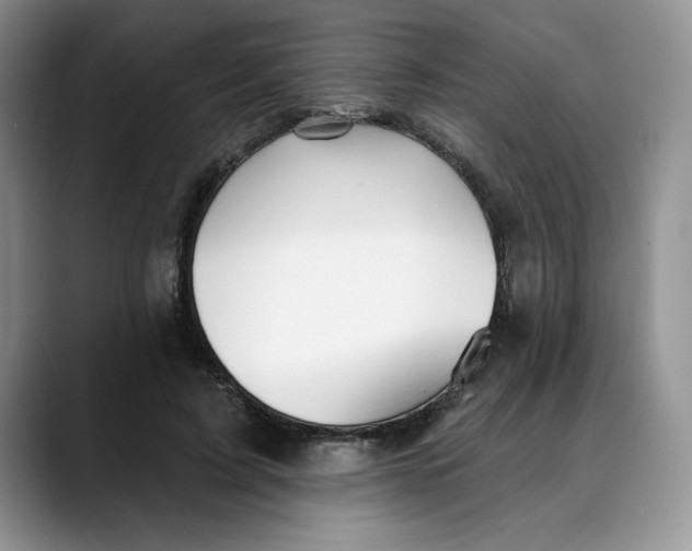X0000088490595200706121550