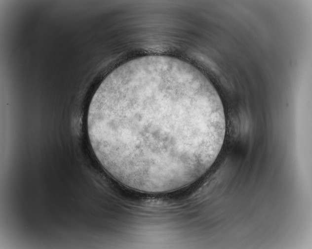 X0000088490596200706121550
