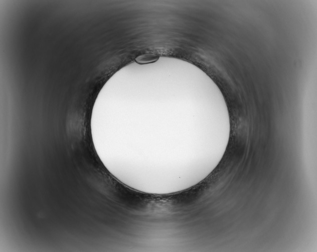 X0000088490599200706121550