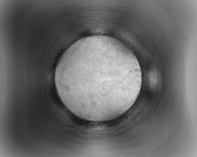 X0000088490601200706121550