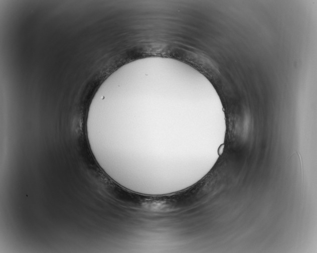 X0000088490602200706121550