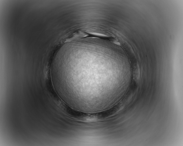 X0000088490604200706121550