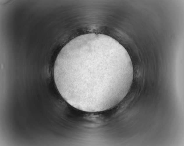 X0000088490607200706121550