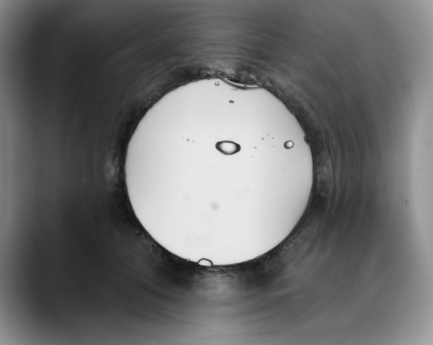 X0000088490608200706121550