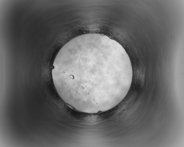 X0000088490609200706121550