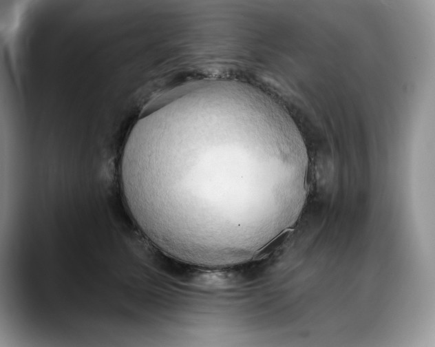 X0000088490611200706121550