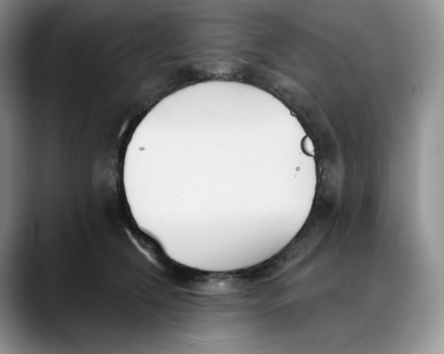 X0000088490612200706121550