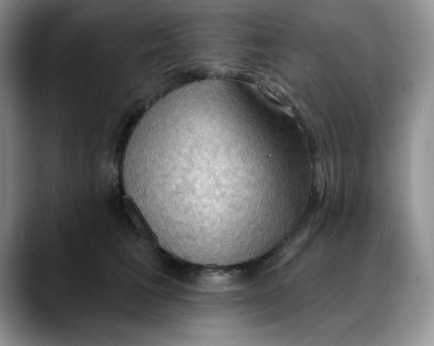 X0000088490613200706121550