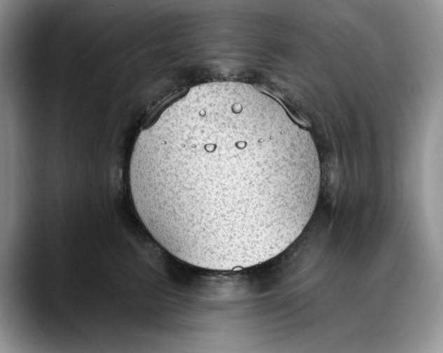 X0000088490615200706121550