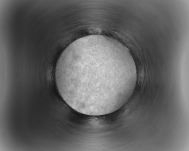 X0000088490616200706121550