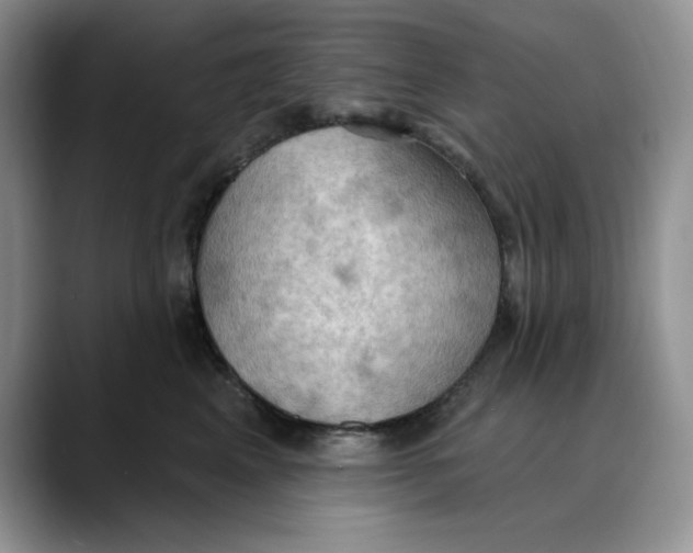 X0000088490617200706121550