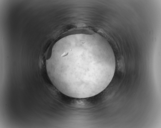 X0000088490618200706121550