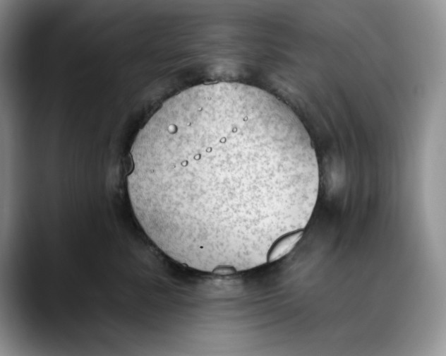 X0000088490619200706121550