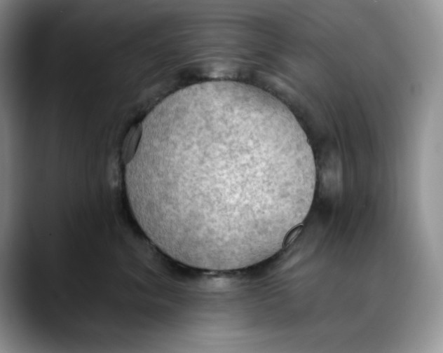 X0000088490620200706121550