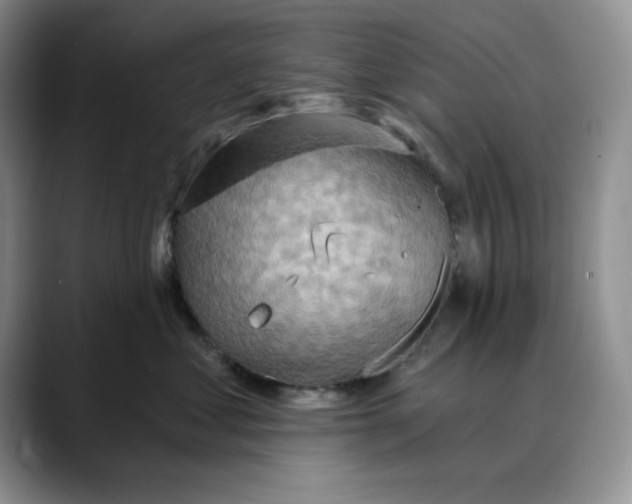 X0000088490621200706121550