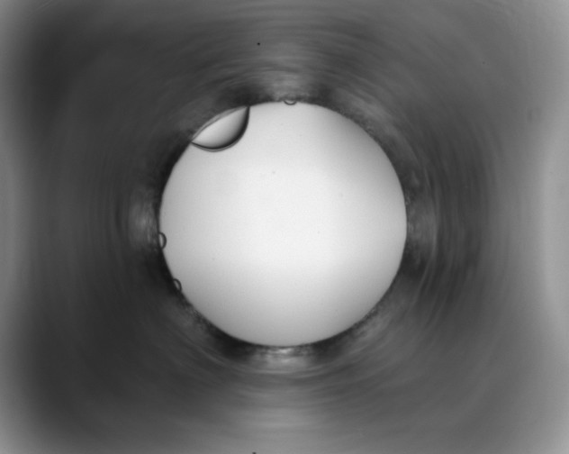 X0000088490622200706121550