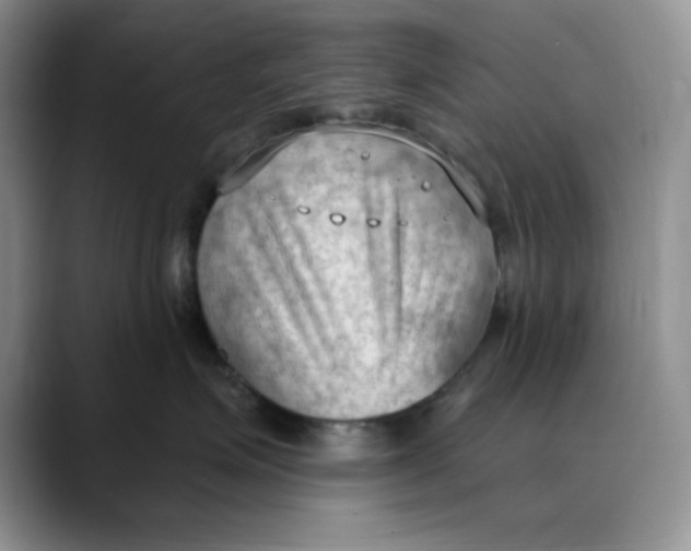 X0000088490623200706121550