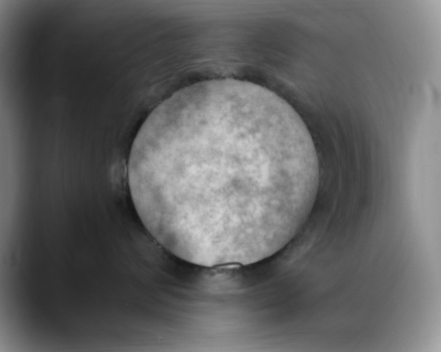 X0000088490624200706121550