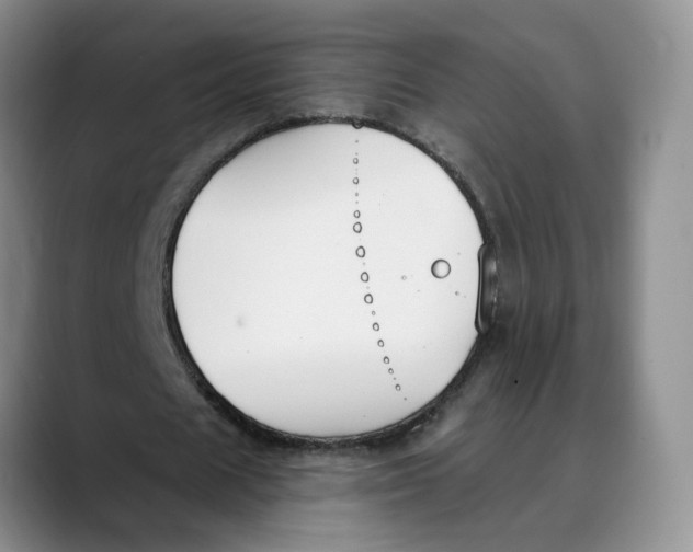 X0000088490625200706121549