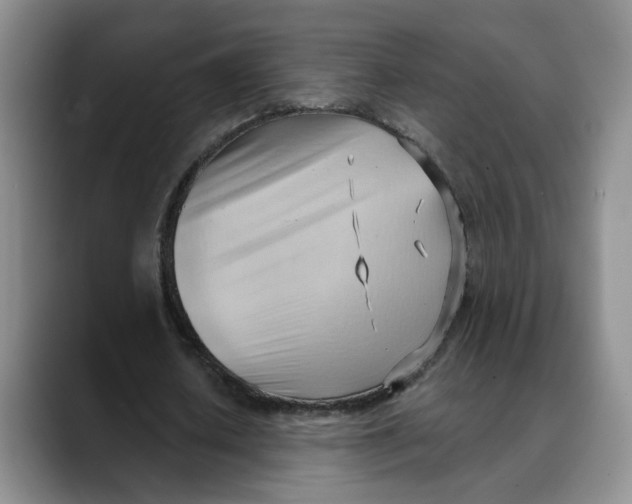 X0000088490626200706121549