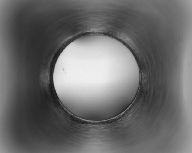 X0000088490628200706121549