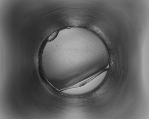 X0000088490630200706121549