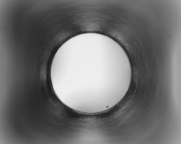 X0000088490631200706121549