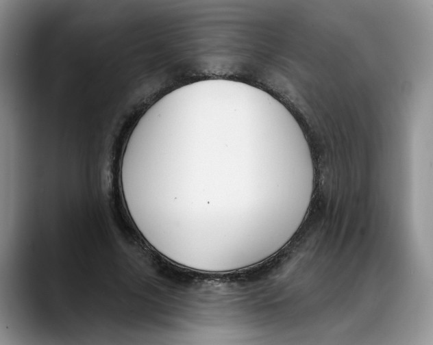 X0000088490635200706121549