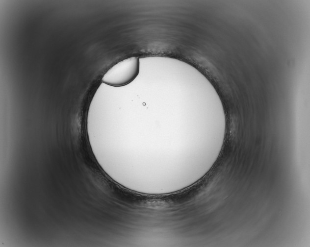 X0000088490636200706121549