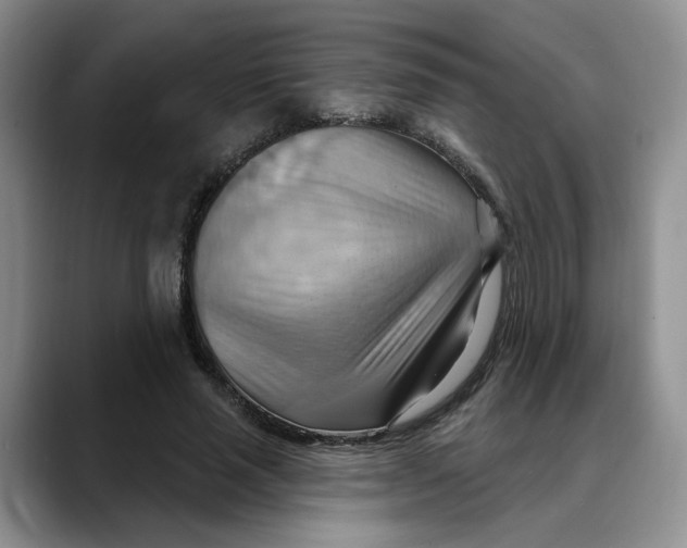 X0000088490637200706121550