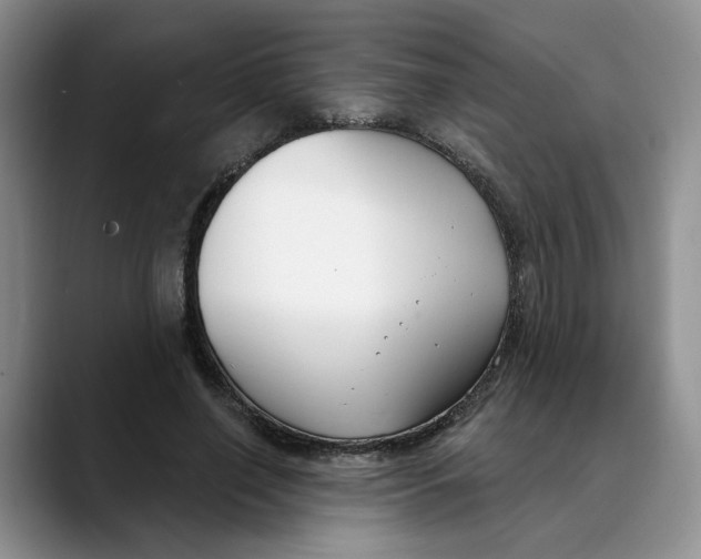 X0000088490638200706121550