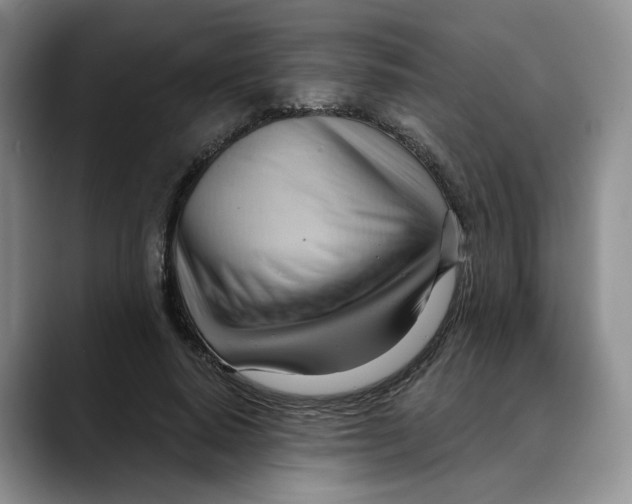 X0000088490640200706121550