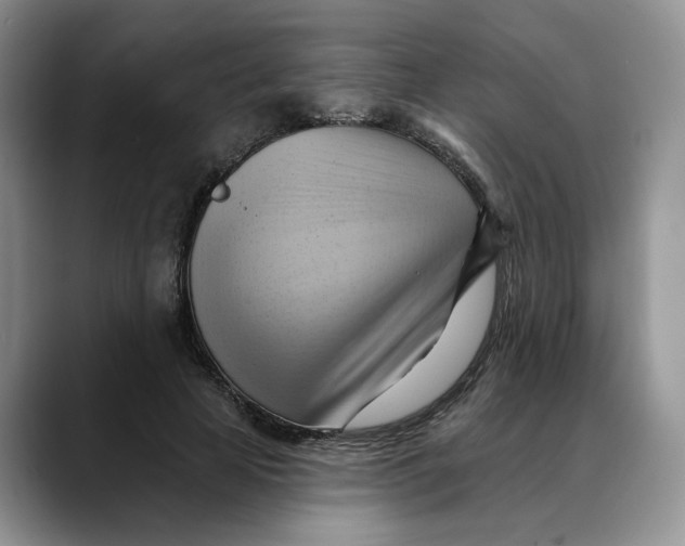 X0000088490641200706121550