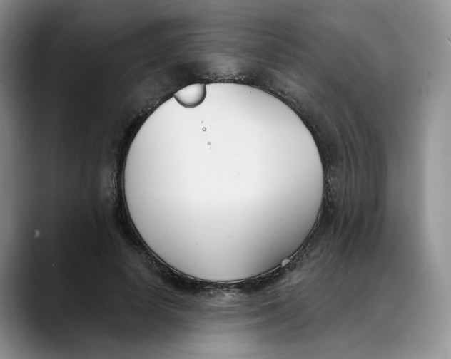 X0000088490642200706121550