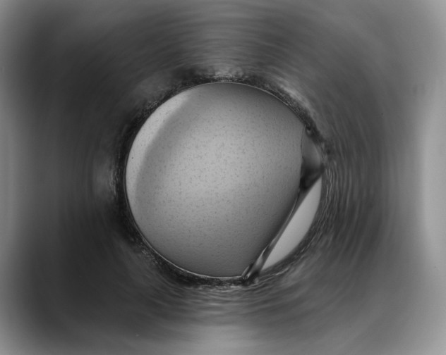 X0000088490643200706121550